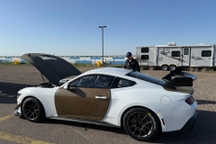 mustanggt4
